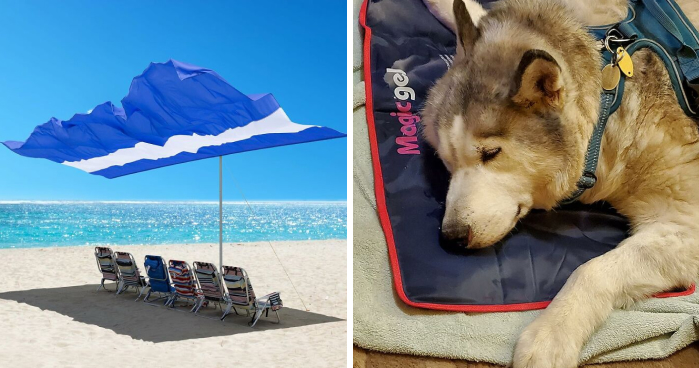 Beat The Heat Like A Pro With These 22 Genius Summer Survival Hacks