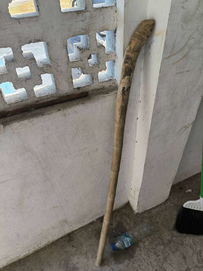 Worn wooden stick leaning against a wall near a broom and a plastic water bottle on a concrete floor.