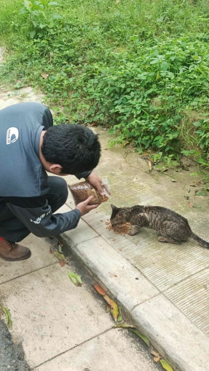 Man feeding a cat on the sidewalk, a compassionate moment any man would be excited to see in these pics.
