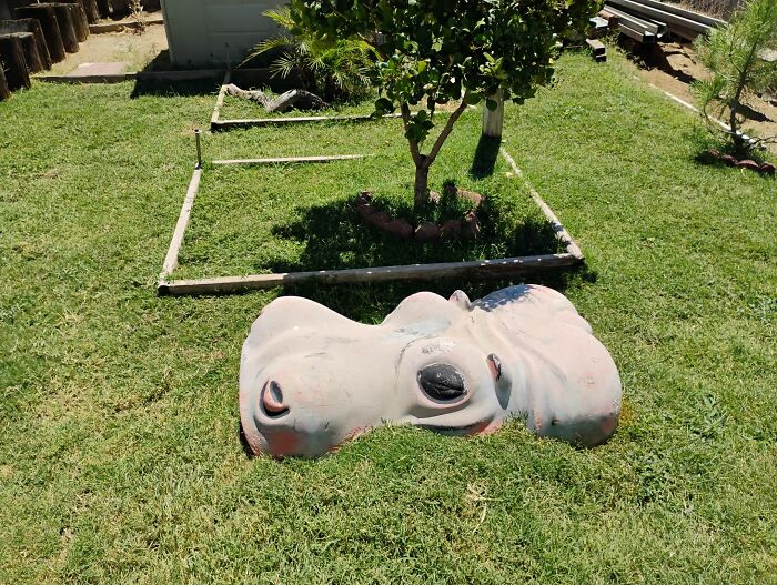 Large sculpture of a hippo head emerging from grass in a garden, showing a unique outdoor decoration men would be excited to see.
