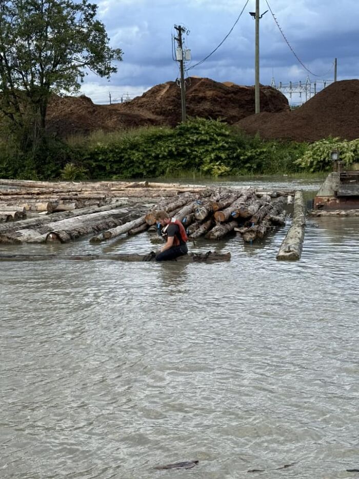 Man sitting on a log in water near stacked timber and greenery in an outdoor industrial area from any man excited pics thread