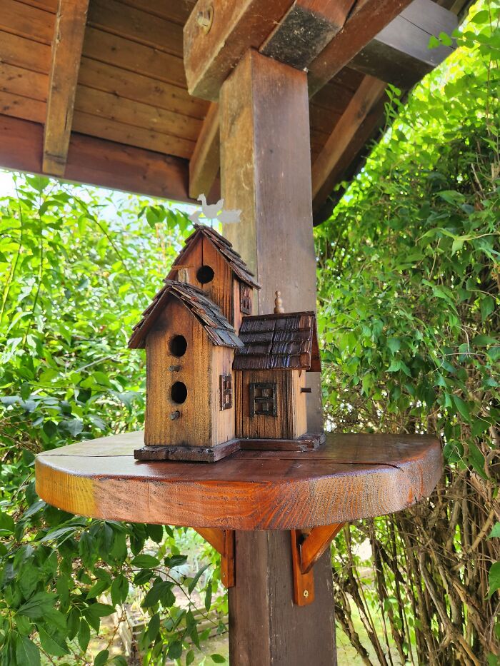 Wooden birdhouse on a round wooden shelf surrounded by green foliage, showcasing craftsmanship men would admire.