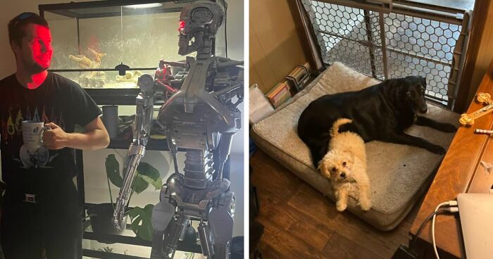 People Are Sharing The Pics That Make Them Scream ‘Hell Yeah’ And These Are 35 Of The Best