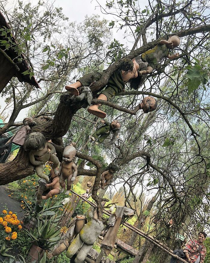 Creepy abandoned place with old dolls hanging from tree branches in a decayed outdoor setting.