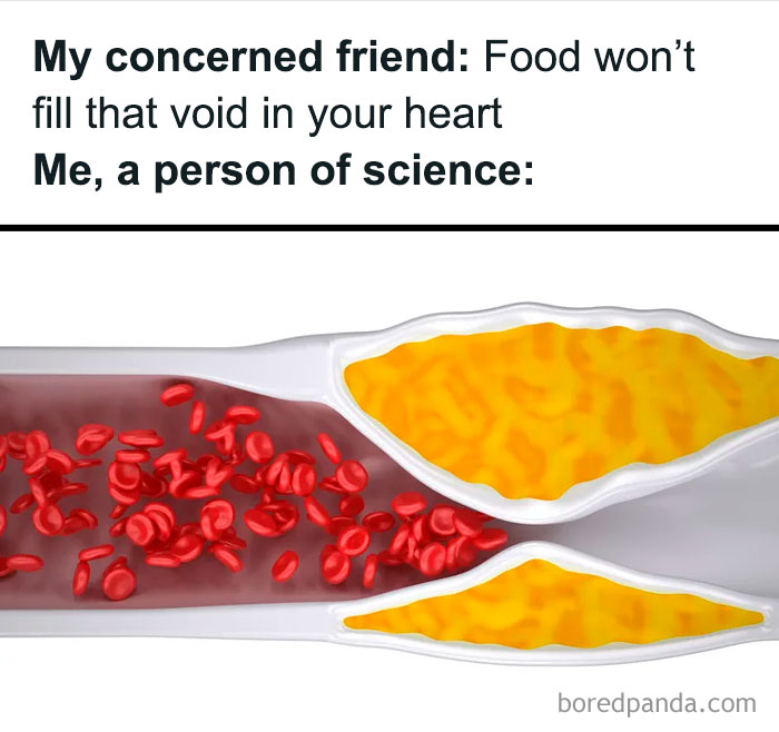 Humorous medical meme showing artery clogged with plaque and red blood cells, relatable medical memes for next checkup.
