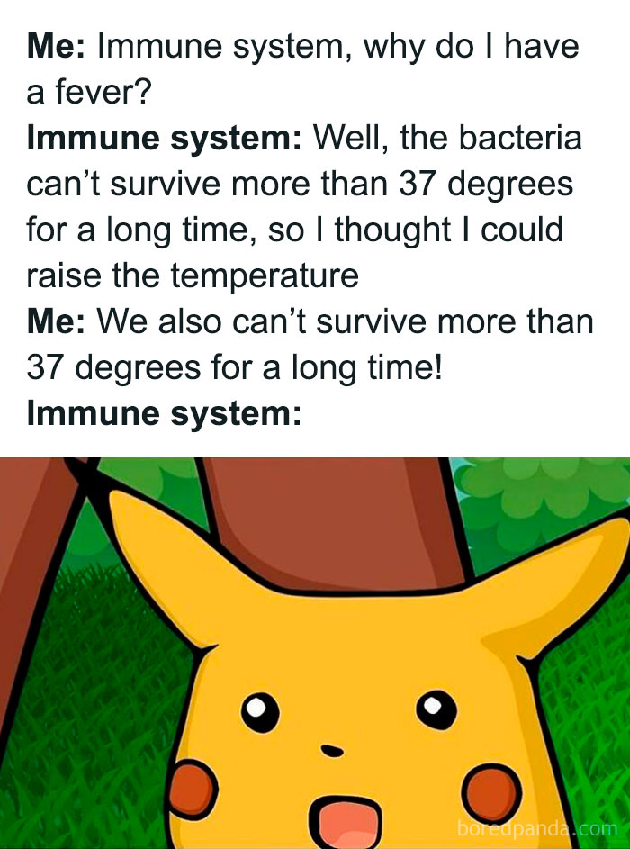 Surprised Pikachu meme illustrating a funny and relatable medical meme about the immune system and fever reaction.
