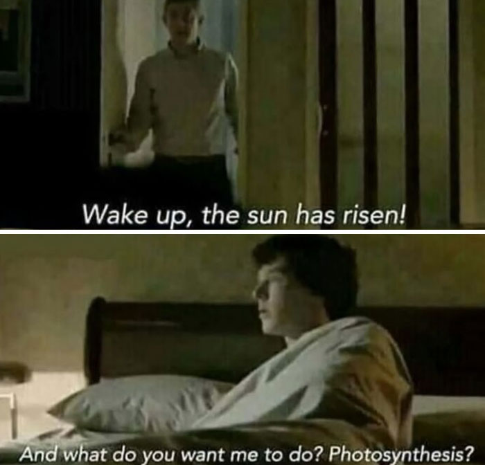 Two-panel science meme showing a person waking another up saying the sun has risen, and the other replying with photosynthesis.