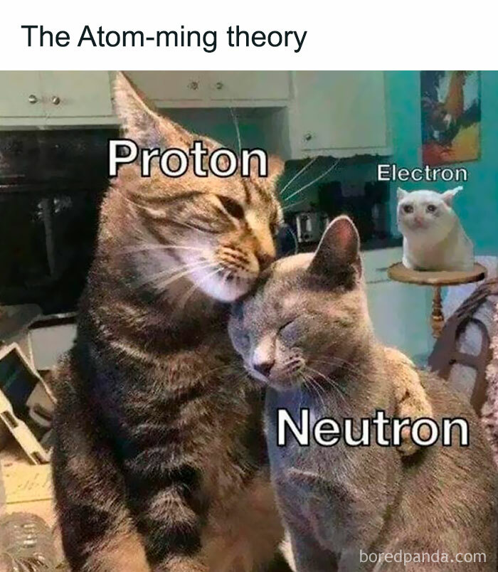 Two cats labeled proton and neutron cuddle while a third cat labeled electron watches, a science meme about atoms and photosynthesis.