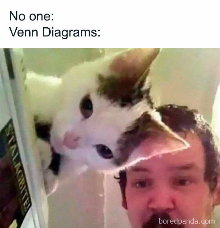 A cat and a man peeking from behind an object with meme text about Venn diagrams from science memes photosynthesis.