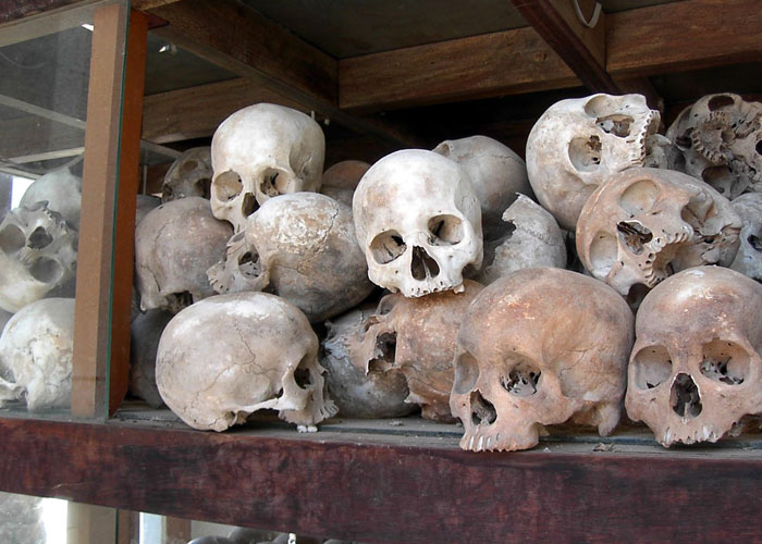 Collection of ancient human skulls displayed in a wooden case representing unbelievable historical events survived by people.