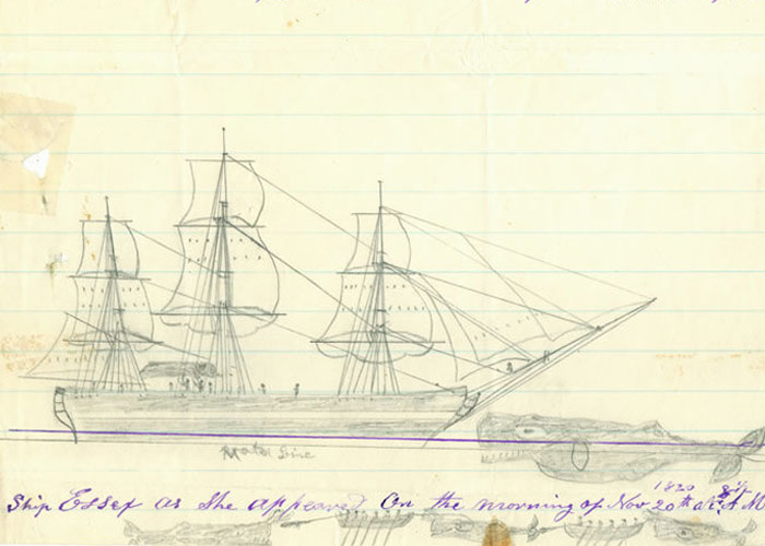 Hand-drawn sketch of a historic ship with whales, illustrating unbelievable historical events people survived at sea.