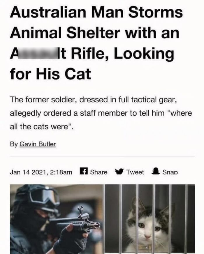 Australian man in tactical gear storms animal shelter with rifle searching for his cat, highlighting unusual pet stories in history.