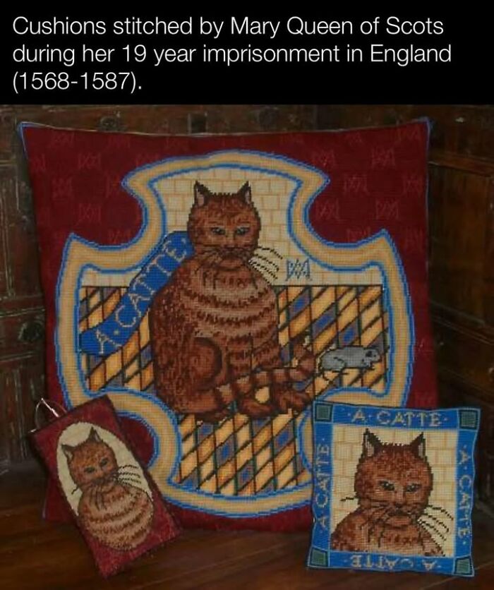Historic cushions featuring stitched cats by Mary Queen of Scots during her imprisonment, showcasing fascinating historical pets craftsmanship.