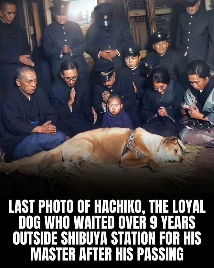 Group of people gathered mourning the loyal dog Hachiko, a fascinating historical photo of pets and their bond with humans.
