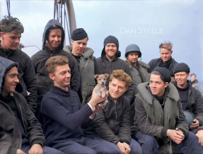 Group of men in vintage military clothing gathered around a small puppy, a fascinating historical photo of pets.