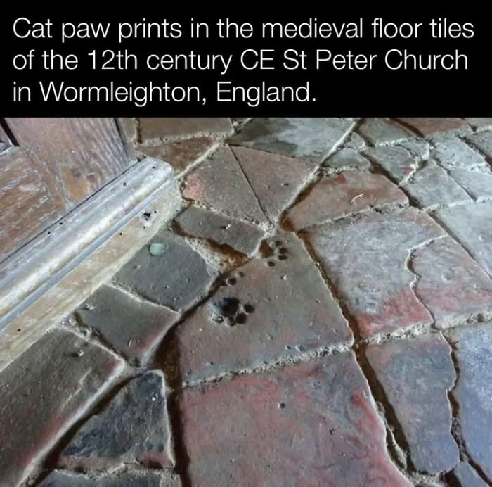 Cat paw prints embedded in 12th century medieval floor tiles at St Peter Church in England historic pets perspective.