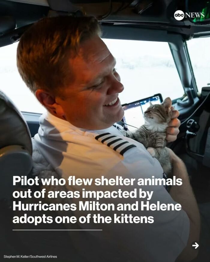 Pilot holding kitten inside airplane cockpit, highlighting historical photos of pets and animal rescue efforts.