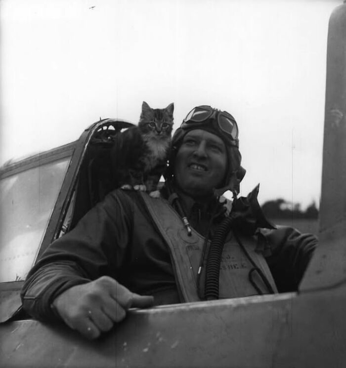 Pilot in vintage gear smiling with two cats perched on his shoulders inside a historical photo featuring pets.