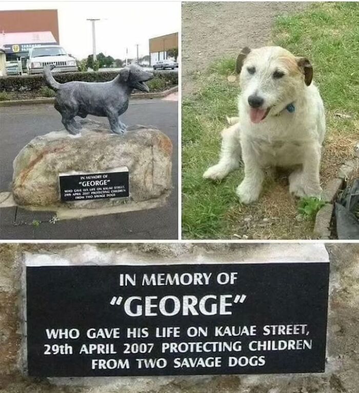 Memorial statue and plaque honoring a brave pet dog named George protecting children from danger in a historical photo.