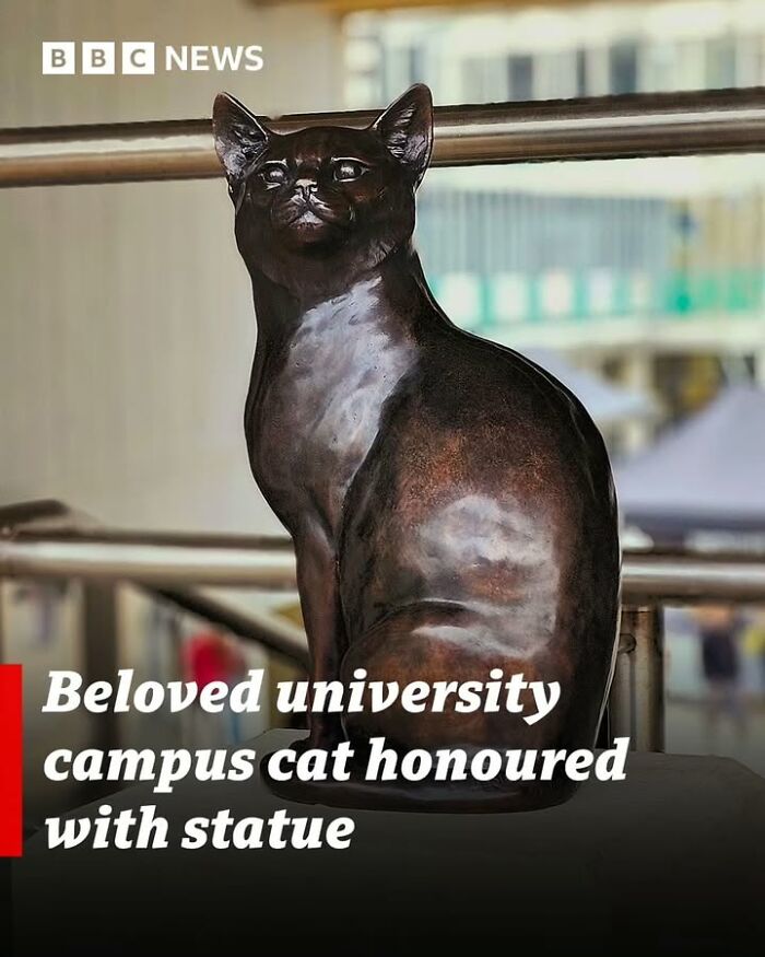 Bronze statue of a beloved university campus cat, highlighting fascinating historical photos of pets and their impact.