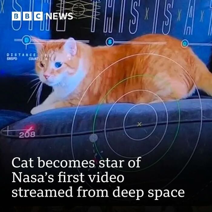 Orange tabby cat featured in a historical photo related to pets and space exploration by NASA.