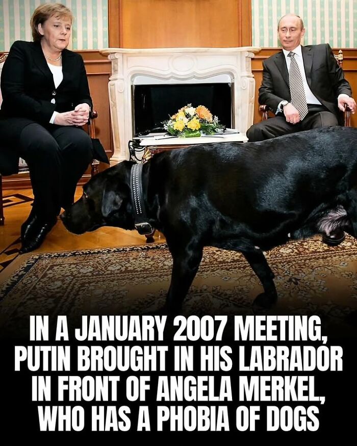 Putin bringing his Labrador to a 2007 meeting with Angela Merkel, showing historical photos of pets and their moments.