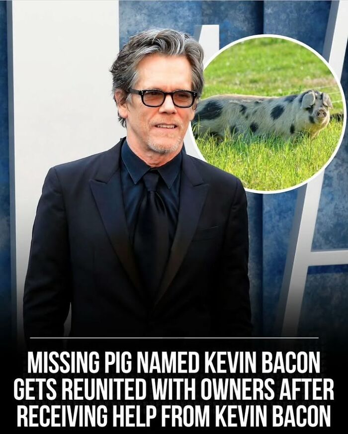 Actor Kevin Bacon in a suit pictured with a spotted pet pig, highlighting fascinating historical photos about pets.
