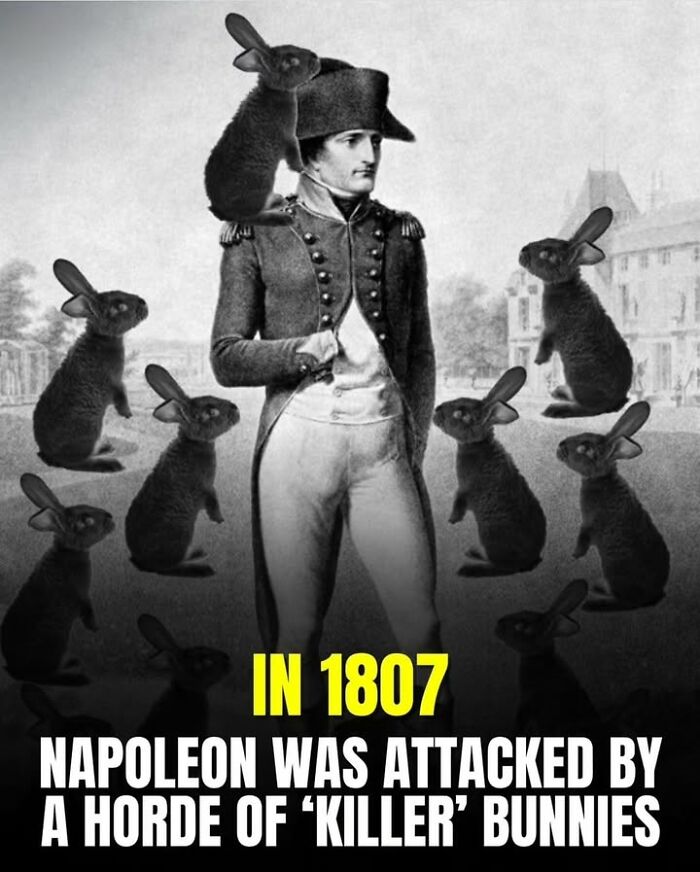 Historical photo of Napoleon surrounded by numerous bunnies showing a fascinating perspective on pets in 1807.