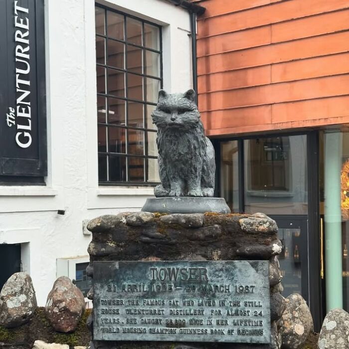Statue of Towser the cat at Glenturret Distillery, featured in historical photos that change perspective on pets.