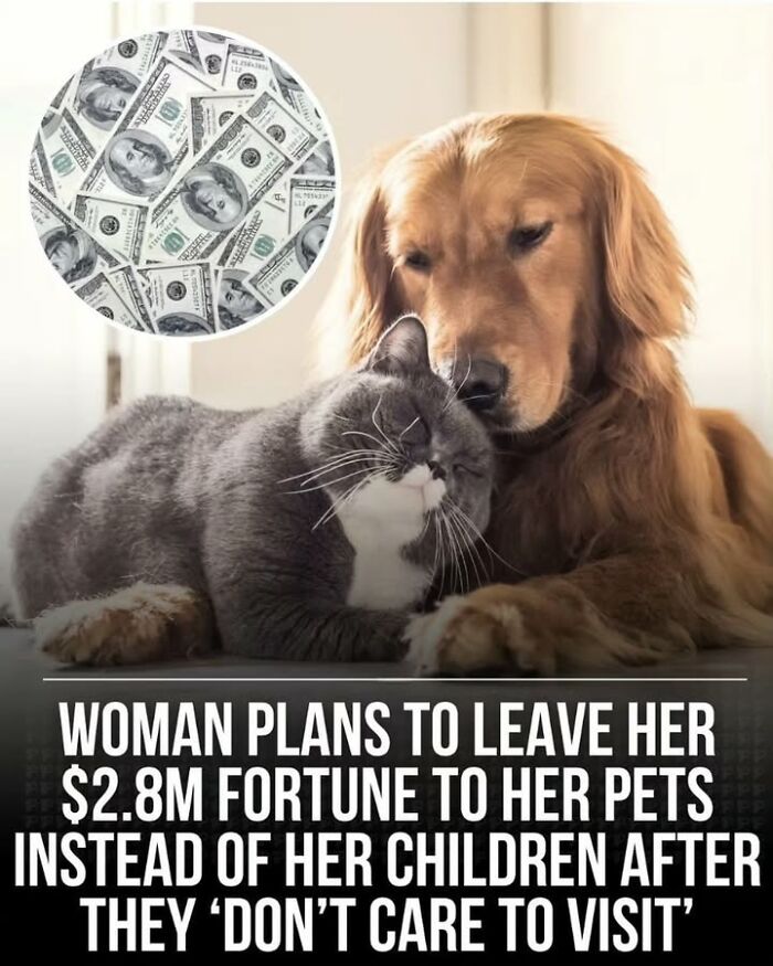 Golden retriever and gray cat cuddling with inset of money, illustrating fascinating historical photos about pets and fortunes.