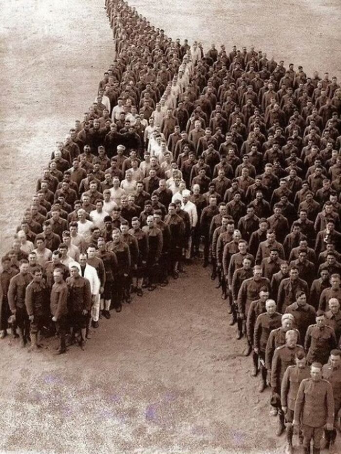 Large group of soldiers standing in formation creating an arrow shape in a historical photo related to pets perspective.