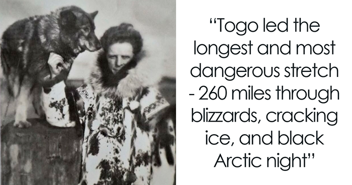 50 Fascinating Historical Photos That Might Change Your Perspective On Pets