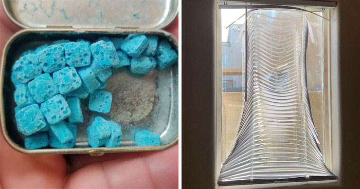 31 Fotos que muestran las consecuencias de las olas de calor veraniegas