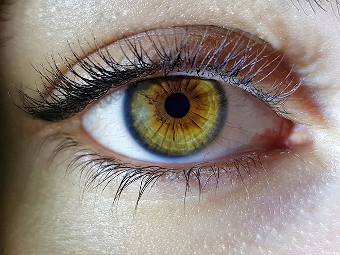 Close-up of a human eye showcasing unique body quirks in natural lighting with detailed eyelashes and colored iris.