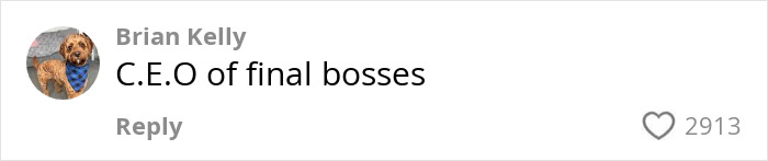 Comment on social media stating C.E.O of final bosses with a profile picture of a dog wearing a blue tie. Comment on social media stating C.E.O of final bosses with a profile picture of a dog wearing a blue tie.