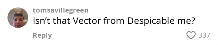 Comment from tomsavillegreen asking if the person resembles Vector from Despicable Me in a viral meme about Ibiza Final Boss haircut. Comment from tomsavillegreen asking if the person resembles Vector from Despicable Me in a viral meme about Ibiza Final Boss haircut.