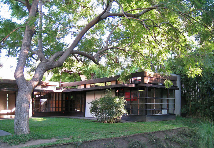 Modern iconic architectural homes with large windows surrounded by lush trees and greenery in a sunny outdoor setting