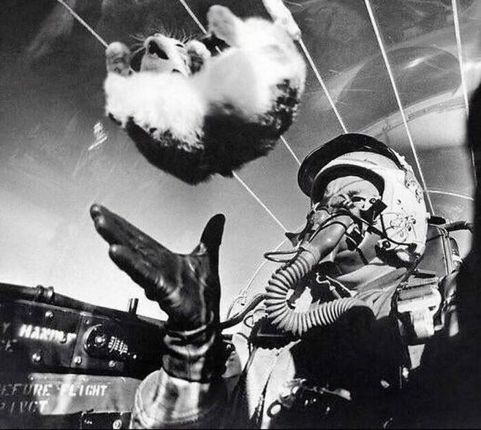 Black and white weird history pic of a pilot in vintage gear tossing a cat inside a cockpit during a flight test.