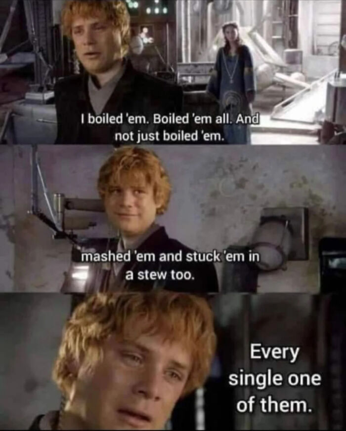Alt text: Scene from Lord of the Rings meme featuring Sam discussing boiling and mashing potatoes with a serious expression.
