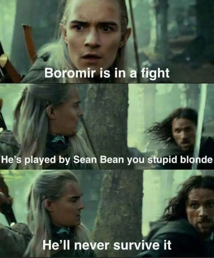 Legolas warns Aragorn about Boromir in a funny Lord of the Rings meme referencing Sean Bean's fate.