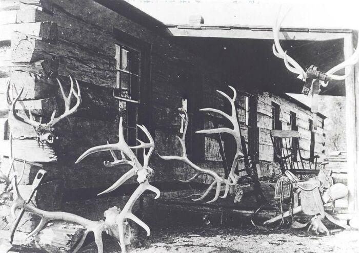 Black and white image of a rustic wooden porch decorated with large antlers, showcasing weird history pics.