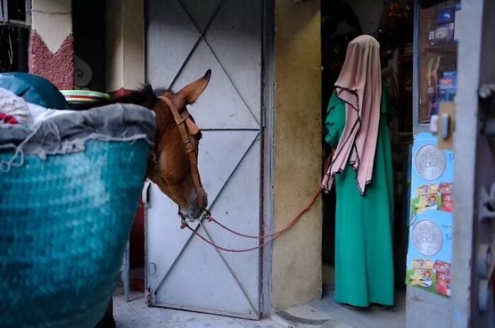 Woman in a green dress holding a horse by a rope outside a small shop in a street photo capturing everyday life.