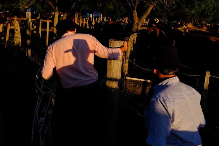 Two men in hats handling ropes and fences outdoors at sunset, street photos showing everyday life moments.