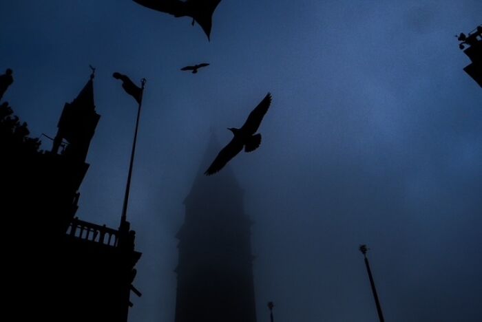 Silhouettes of birds flying over a foggy street scene, capturing street photos that show everyday life atmosphere.