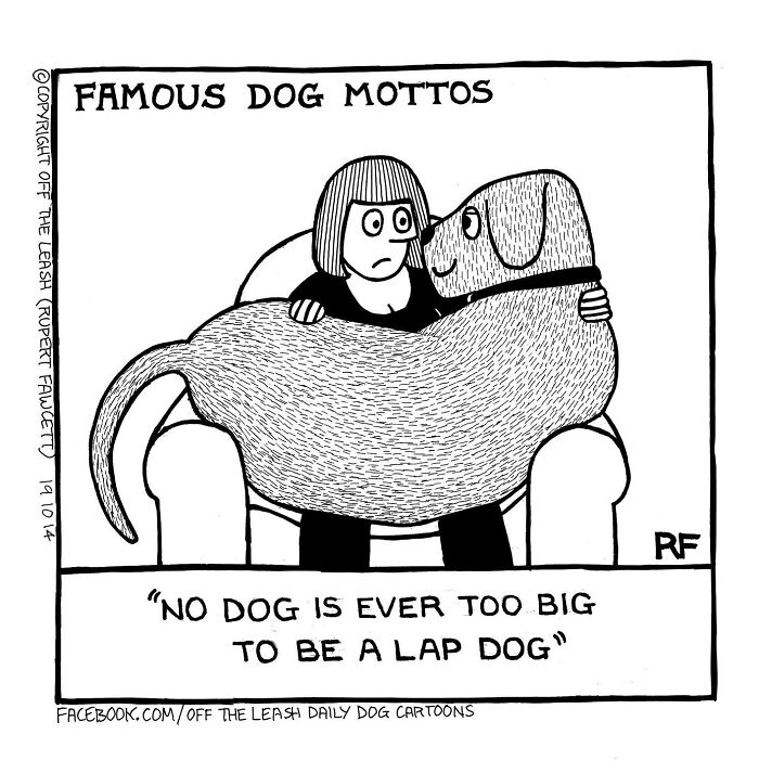 Cartoon from Off The Leash showing a large dog sitting on a person's lap with the motto no dog is too big to be a lap dog.