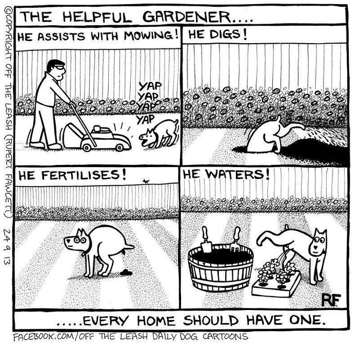 Comic from Off The Leash shows a dog helping in the garden by digging, fertilizing, and watering plants.