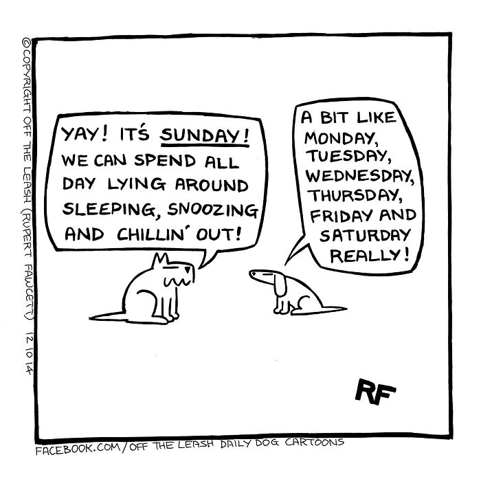 Cartoon dogs discuss sleeping and chilling as a relatable dog owners comic from Off The Leash series.