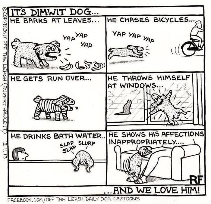 Funny dog comics from Off The Leash show playful and quirky behaviors that most dog owners might relate to.
