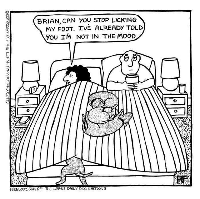Couple in bed with a dog licking foot, funny dog owner comic from Off The Leash series.