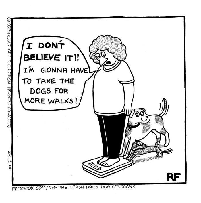 Woman standing on scale with two dogs saying she has to take the dogs for more walks in a funny dog owner comic.